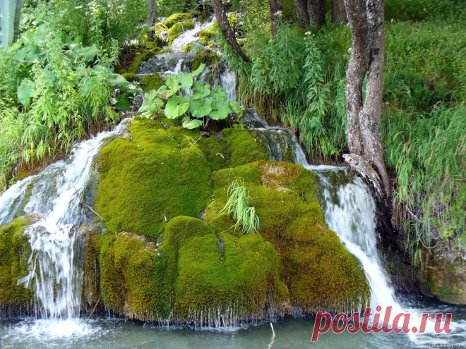 природа анимация Природа priroda Жизнь nature gora pokritaya mhom 1600 -- картинки на рабочий стол