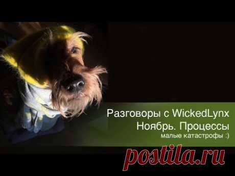 Разговоры с WickedLynx. Ноябрь. Процессы