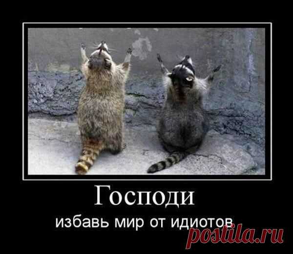 Корпорация Юмора ツ