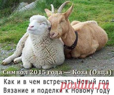 ажурный жакет на ленте вязаный крючком