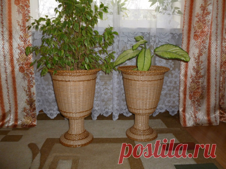 Сохранённые фотографии | 230 фотографий
