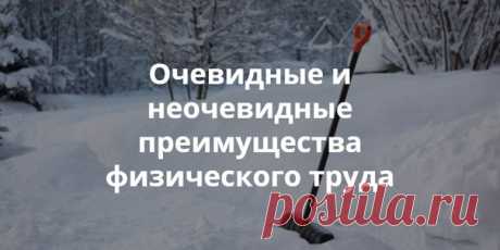 Очевидные и неочевидные преимущества физического труда Задавались ли вы когда-нибудь вопросом, почему физический труд часто противопоставляется образованности, счастливой и полноценной жизни, не пользуется уважением и почётом? Если да, то наша статья определённо вас заинтересует!
