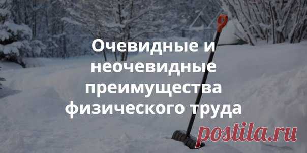 Очевидные и неочевидные преимущества физического труда Задавались ли вы когда-нибудь вопросом, почему физический труд часто противопоставляется образованности, счастливой и полноценной жизни, не пользуется уважением и почётом? Если да, то наша статья определённо вас заинтересует!