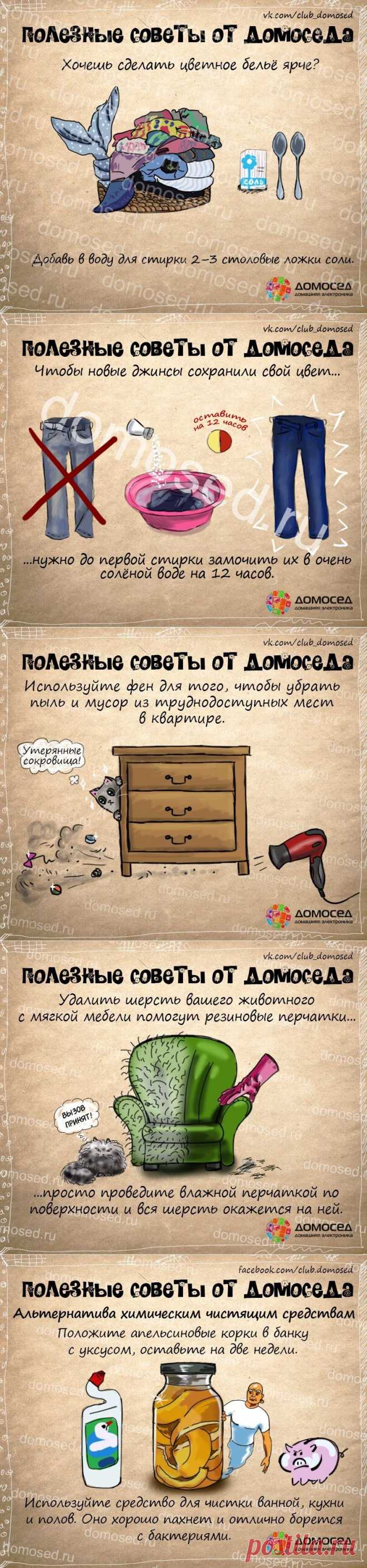 Полезные советы от Домоседа