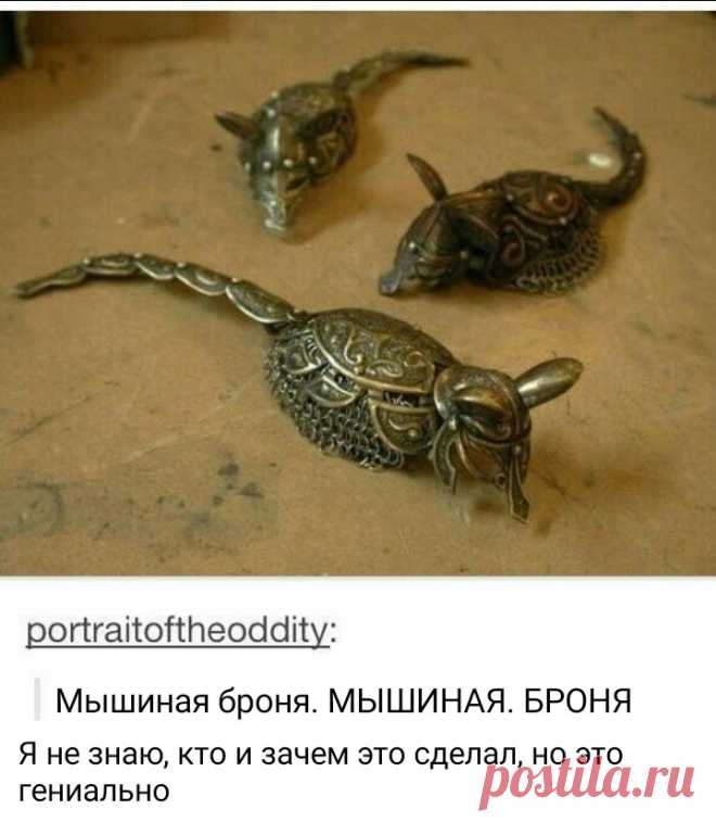 Броня. Для мышей.