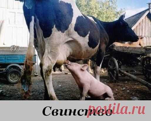 )))