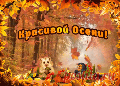 Анимация красивой осени