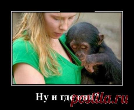 Демотиваторы подборочкой для хорошего настроения