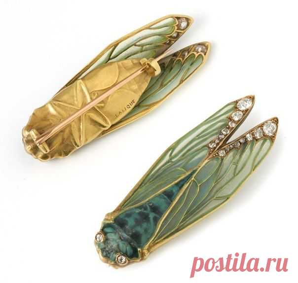 Брошь Цикада от LALIQUE, 1902 г. / Путь моды
