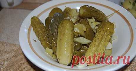 Домашние маринованные огурчики. Вкусные огурчики, рецепт. | Вкусно своими руками