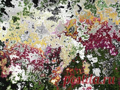 Сан Чад, San Chad * MODERN ART – 219 фотографий