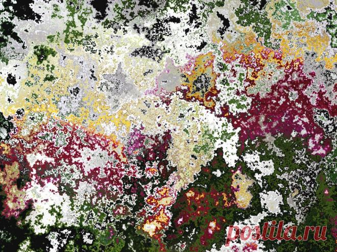 Сан Чад, San Chad * MODERN ART – 219 фотографий