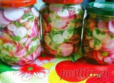 Консервированная редиска | Домашняя кулинария