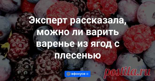 Эксперт рассказала, можно ли варить варенье из ягод с плесенью «Микотоксины не разрушаются при высоких температурах».