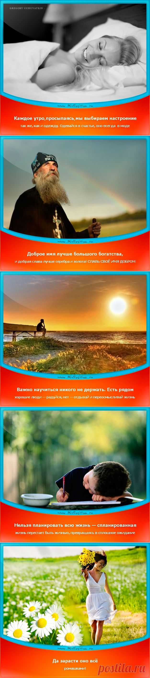 Позитивчики Недели (смотреть фото)