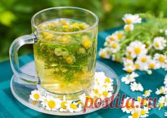 Чай с ромашкой