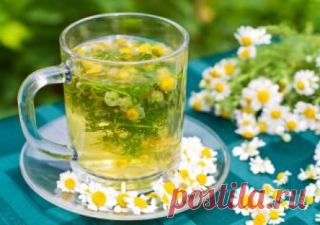 Чай с ромашкой