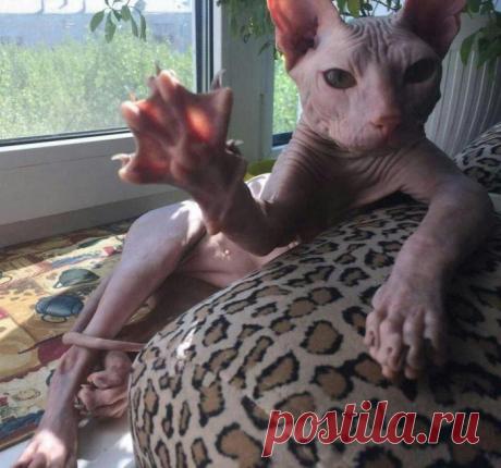 Всем привет!