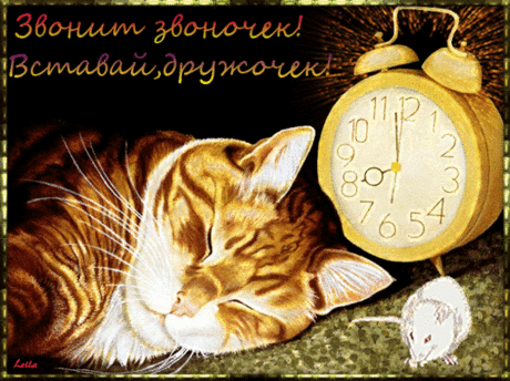 ♪ ♫ ♬|̲̅̅●̲̅̅|̲̅̅=̲̅̅|̲̅̅●̲̅̅|♬ ♫ ♪ Доброе Утро!