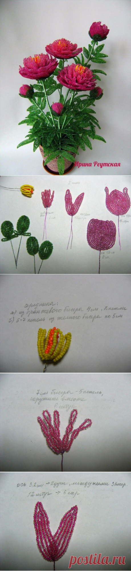 Наталия Сбитнева