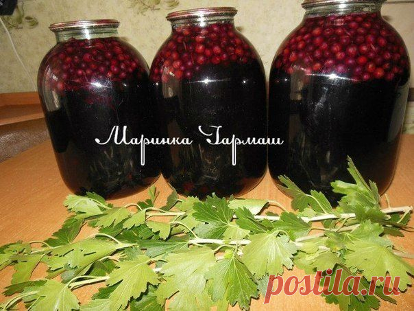 Шустрый Повар | Рецепты | Кулинария