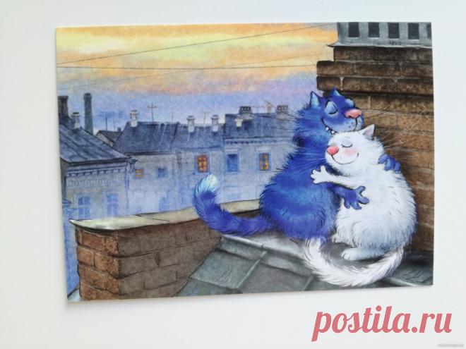 Синие коты - 61 фото - картинки: смотреть онлайн