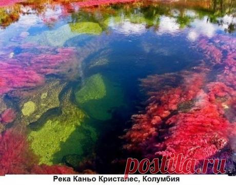 Фото 125, альбом Фото группы - 80196 фото | Фотографии Вокруг земного шара.