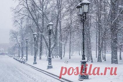 Россиянам предсказали этой зимой частые оттепели и суровые морозы. Научный руководитель Гидрометцентра Роман Вильфанд предупредил жителей Европейской части России о «неоднородной зиме». По его словам, будет много оттепелей и заморозков до 20 градусов ниже нуля. Синоптик отметил, что такая погода ожидается практически во всех регионах, в значительной степени на европейской части страны.