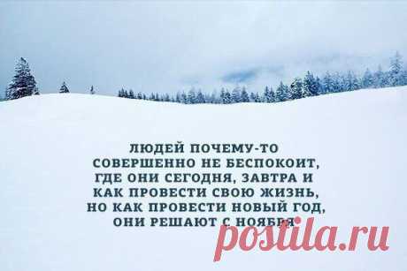 Популярные записи по теме «юмор»