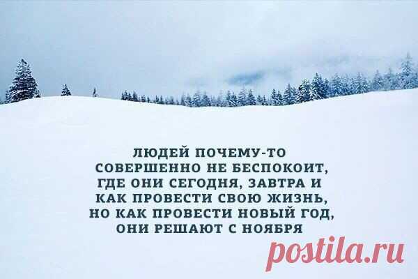 Популярные записи по теме «юмор»