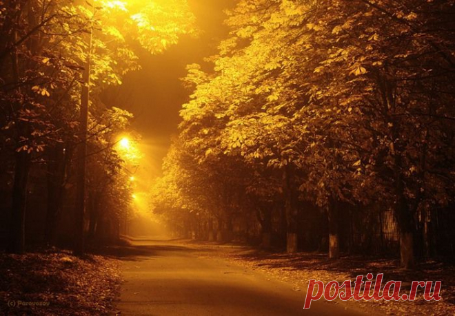 Осень – это сказка грусти и любви!.