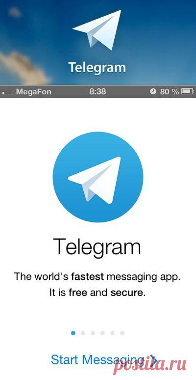 Обзор приложения Telegram от Павла Дурова. | Отзывы и полезная информация "Кнопкастарта"