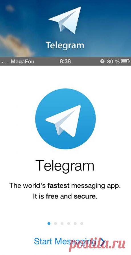 Обзор приложения Telegram от Павла Дурова. | Отзывы и полезная информация &quot;Кнопкастарта&quot;