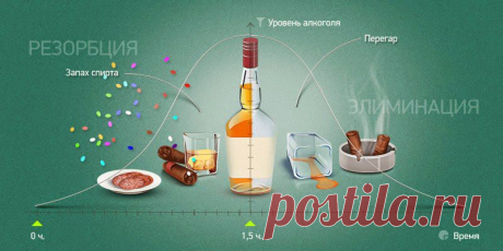 Как быстро протрезветь