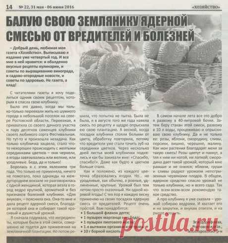 Смесь от вредителей и болезней земляники