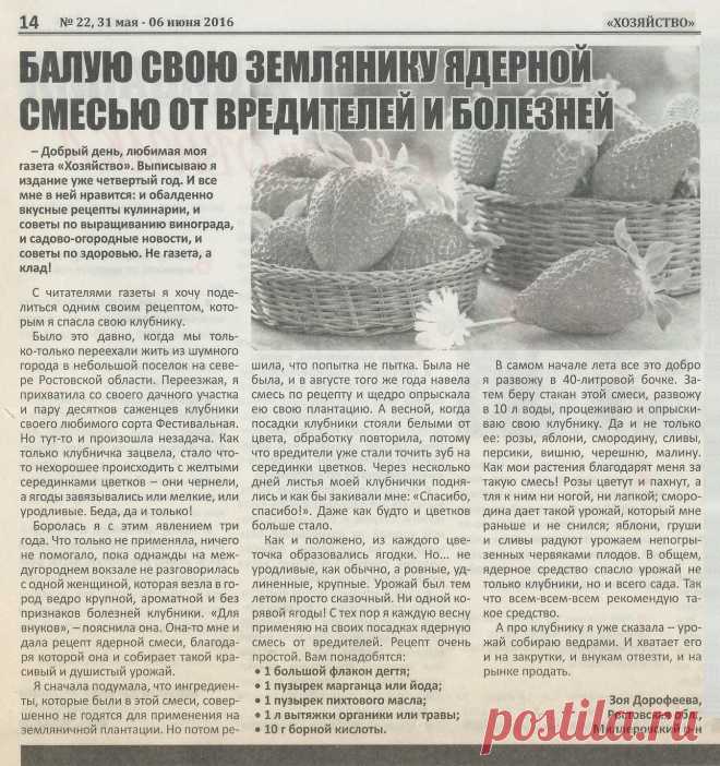 Смесь от вредителей и болезней земляники