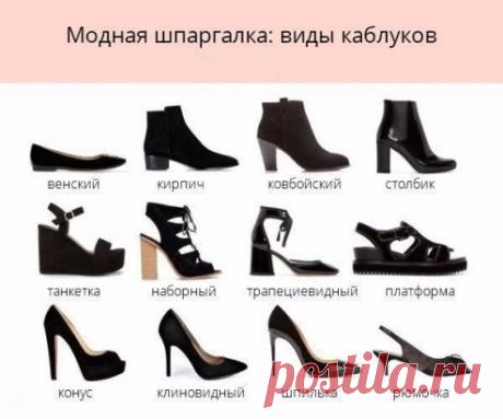 Шпаргалка для всех модниц