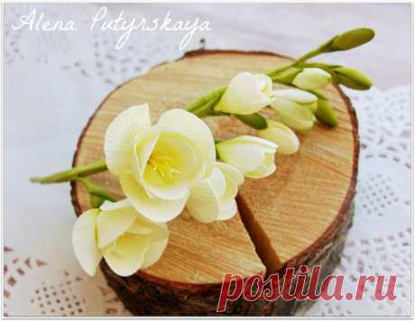 Алена Путырская