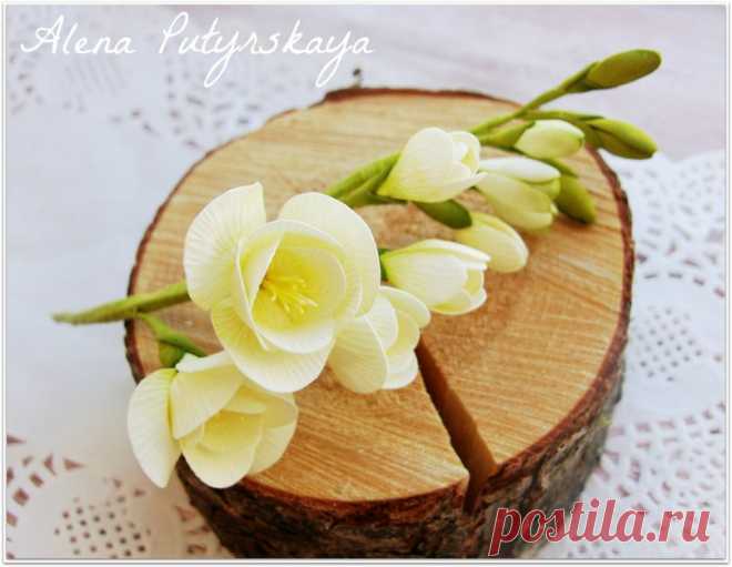 Алена Путырская