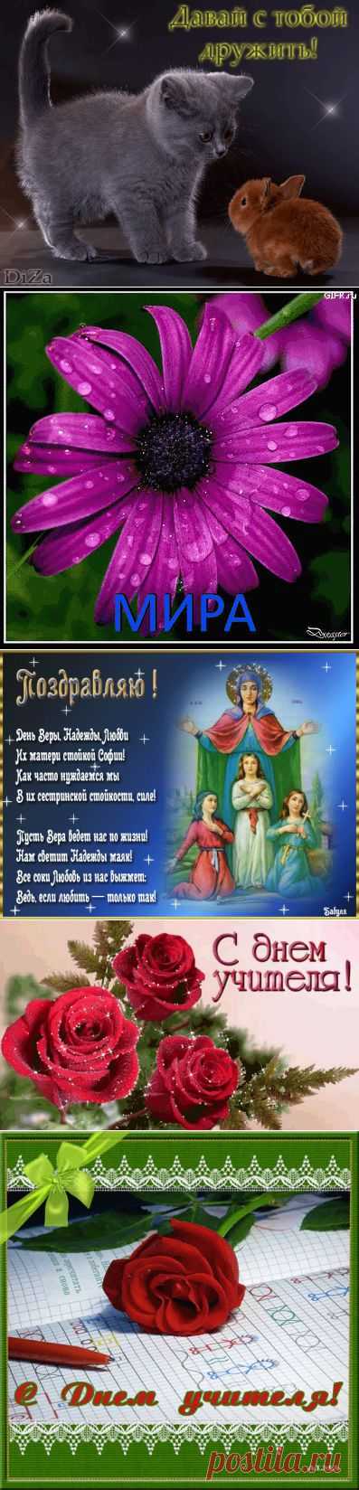 Яндекс.Фотки
