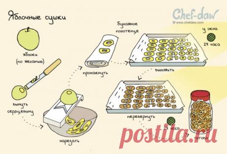 Заготовки на зиму: шпаргалки, которые пригодятся на кухне