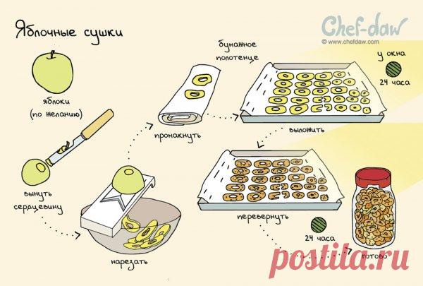 Заготовки на зиму: шпаргалки, которые пригодятся на кухне