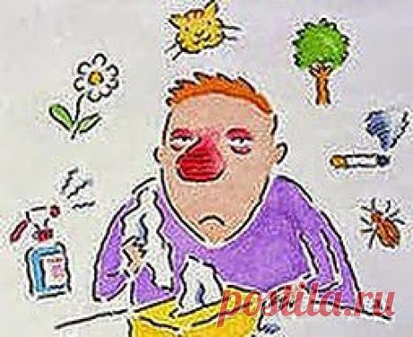 Чтобы не плакать над учебником | Друг пенсионера
Когда я был студентом, у меня начала проявляться аллергия. Причем, впер­вые это получилось очень забавно. Я зашел в библиотеку, чтобы немного поштудировать конспекты.