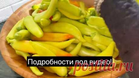 ЦИЦАК - Острый солёный перец на ЗИМУ! Готовится за 5 Минут, Это новый способ приготовления. | Ariana gotovit  | Дзен