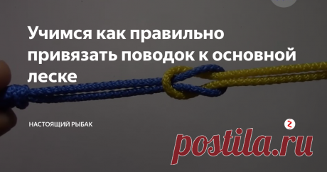 Учимся как правильно привязать поводок к основной леске Приветствую Вас дорогие читатели!
Из нашей статьи Вы узнаете ответ на актуальный вопрос, с которым периодически сталкиваются рыболовы любители — как привязать поводок к основной леске. Данный вопрос очень актуален, поскольку многие обрывы поводков, сходы крупной рыбы связаны именно с неправильным монтажом. «Оборвала!», «Перекрутила леску!» многим не понаслышке знакомы эти фразы.  Большинство рыбол