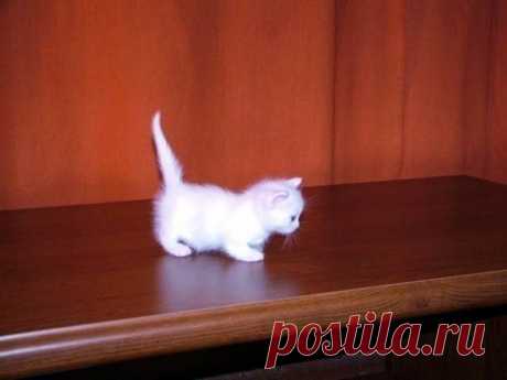 Уматно ©