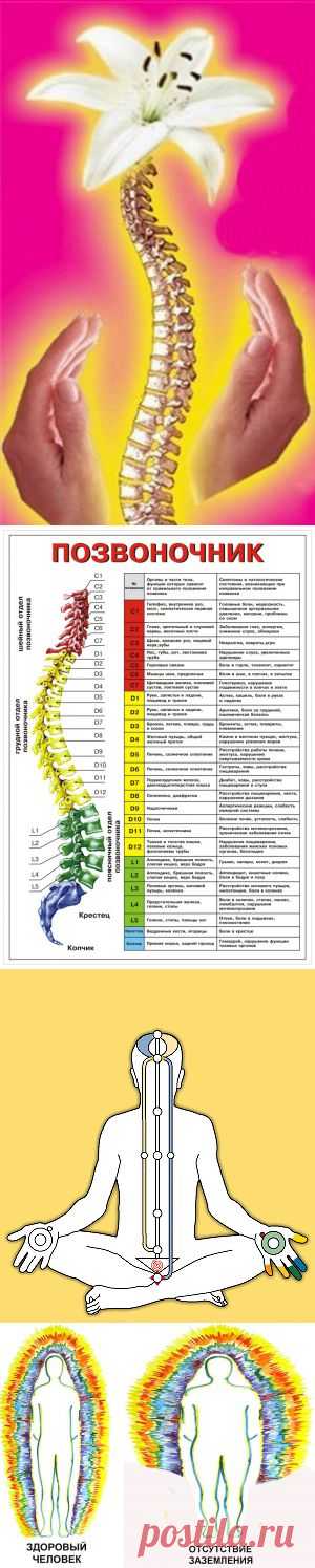 Струна жизни :: Основной сайт