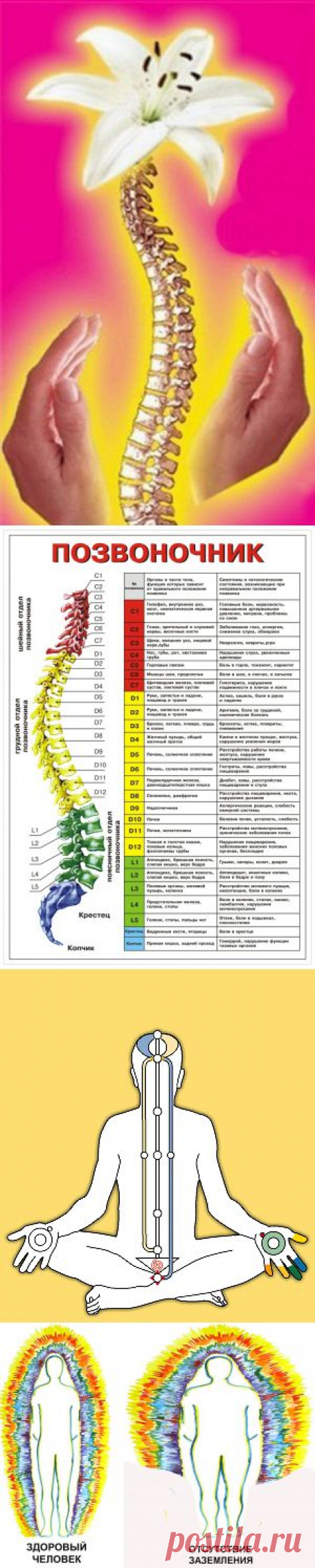 Струна жизни :: Основной сайт
