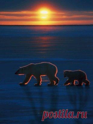 Пошли спать