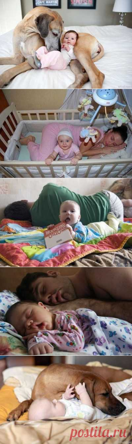 33 фото, которые улыбнут всех родителей! — ИнфоБум